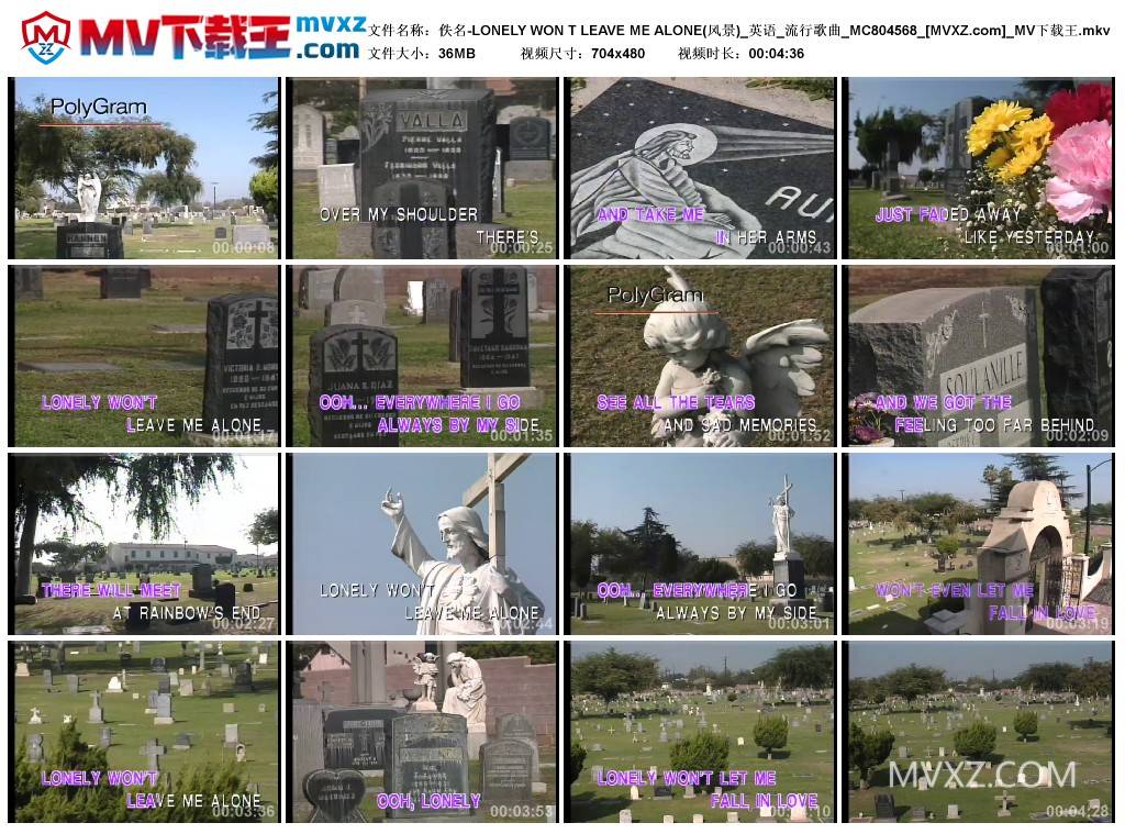 佚名-LONELY WON T LEAVE ME ALONE(风景)_英语_流行歌曲_MC804568